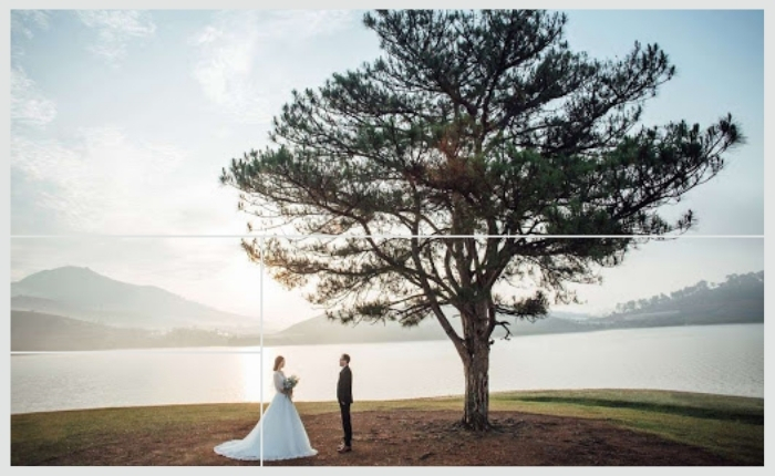 Chụp ảnh cưới tại cây cô đơn Suối Vàng