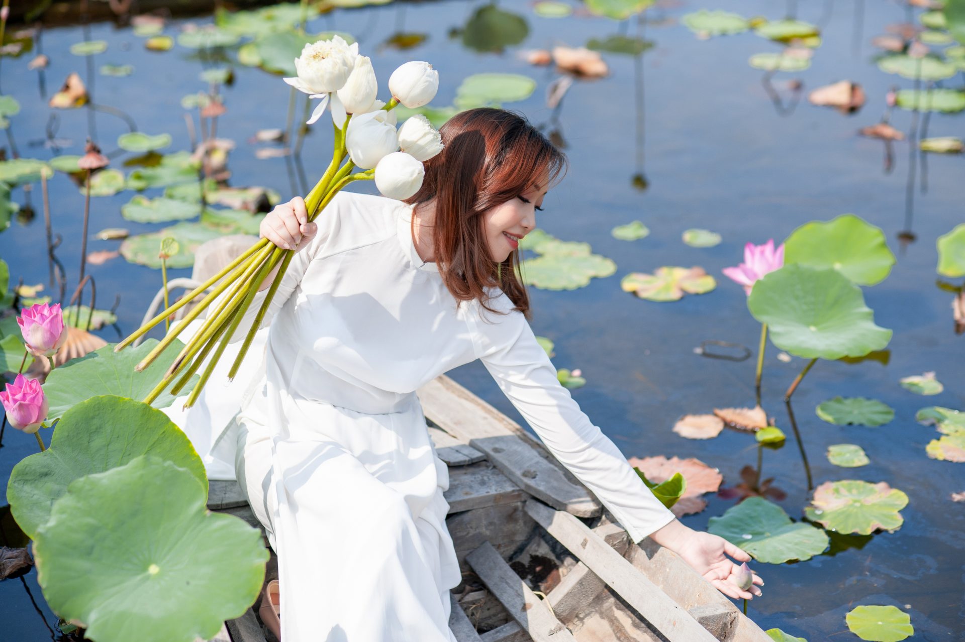 chụp ảnh với hoa sen