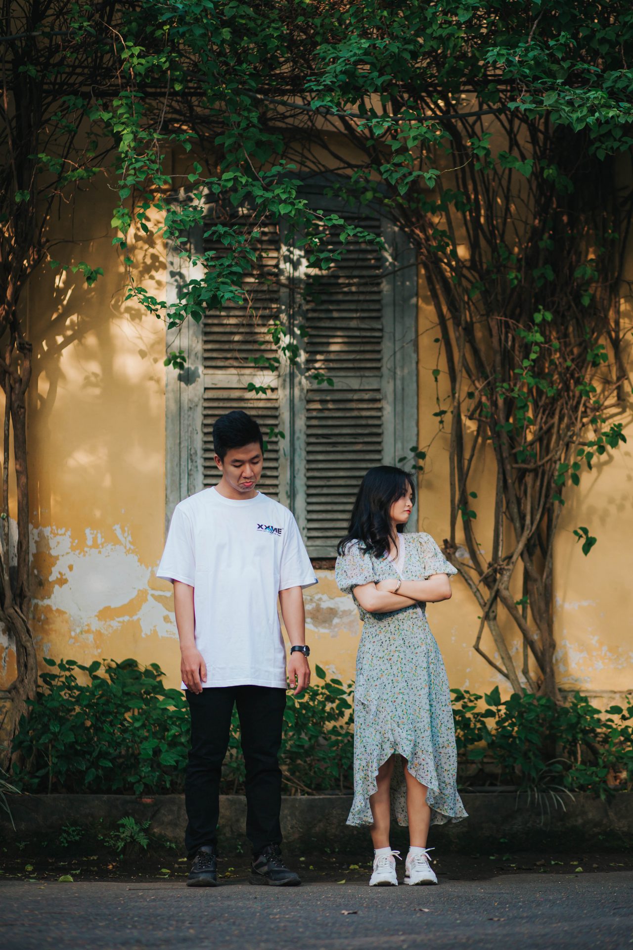 hình ảnh thảo cầm viên