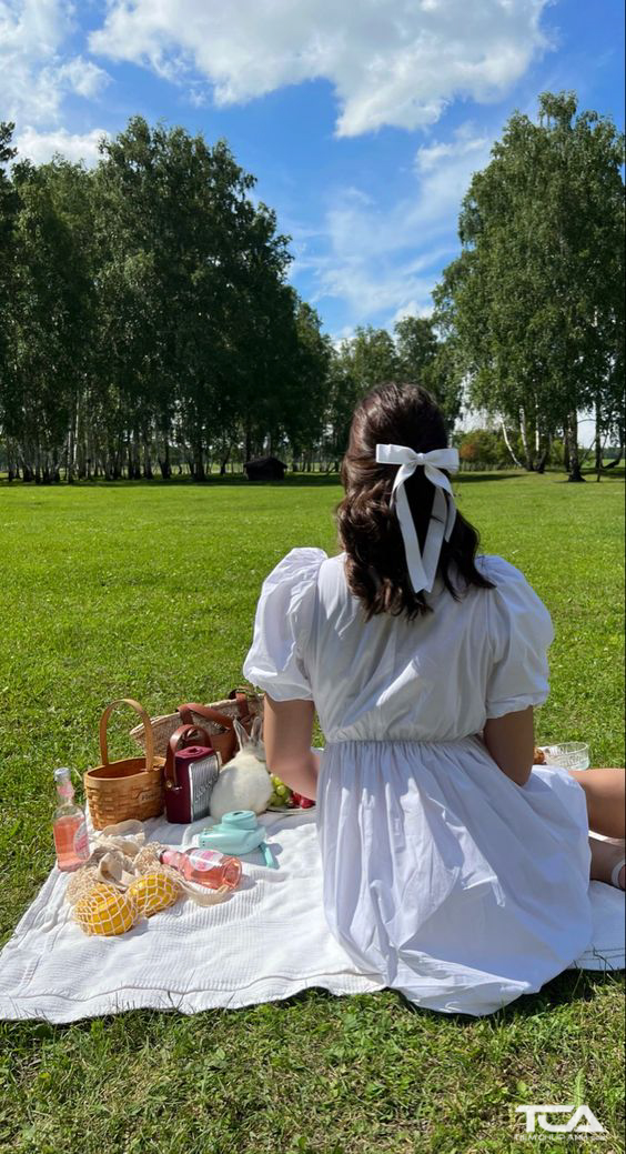 kỷ yếu concept picnic