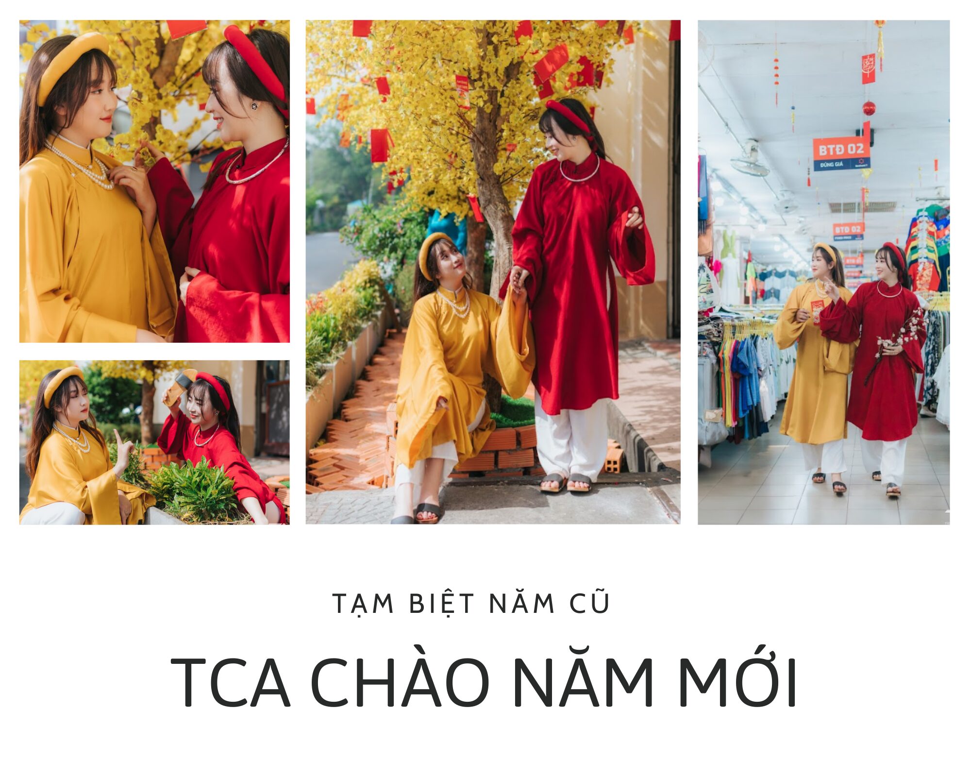 chụp anh tet