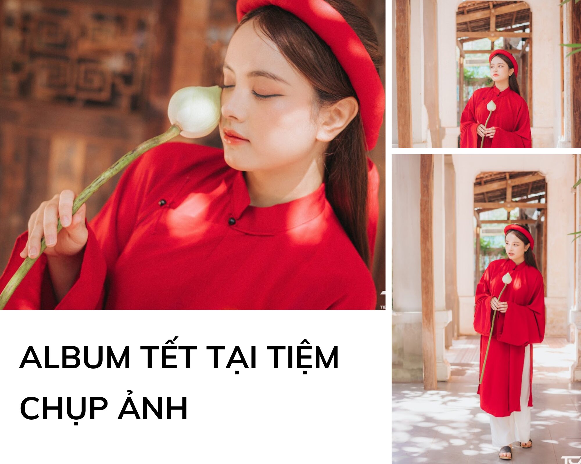 hình ảnh ông đồ ngày tết