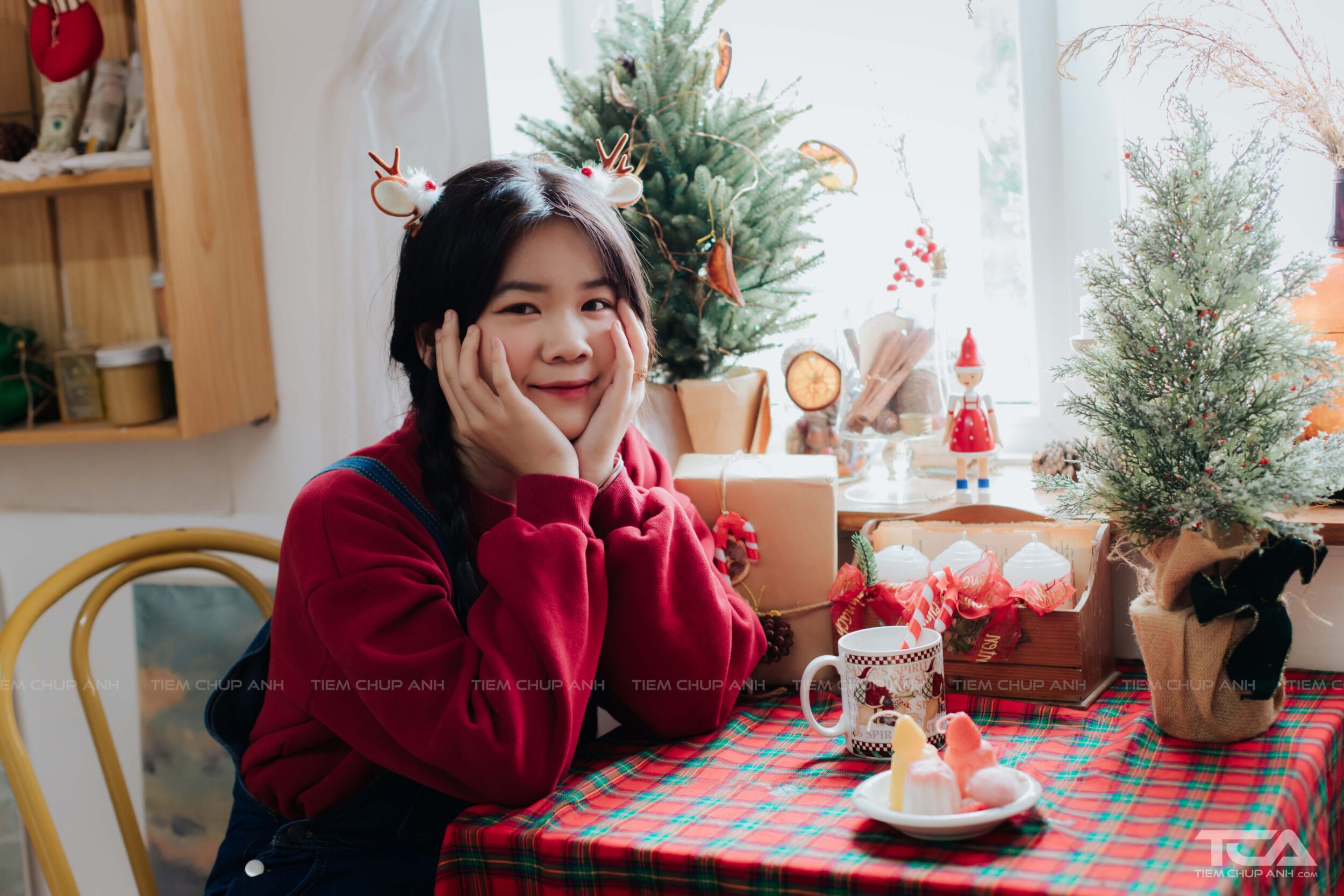 dáng chụp cây thông