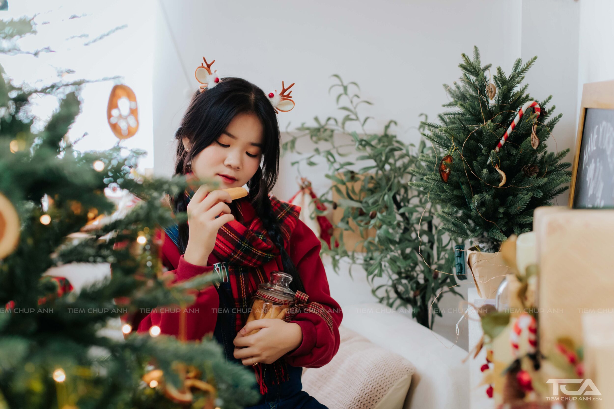tạo dáng chụp ảnh bên cây thông