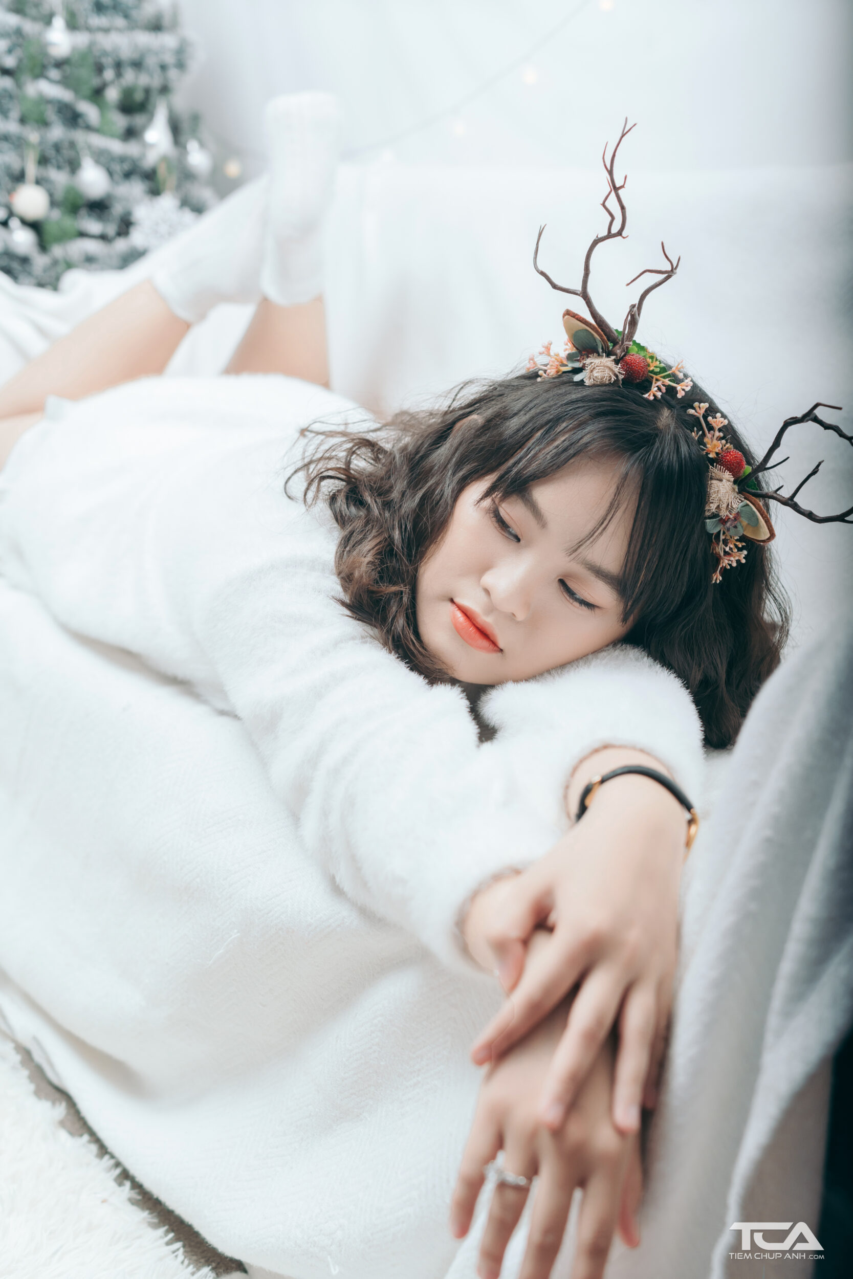 tạo dáng chụp ảnh cây thông