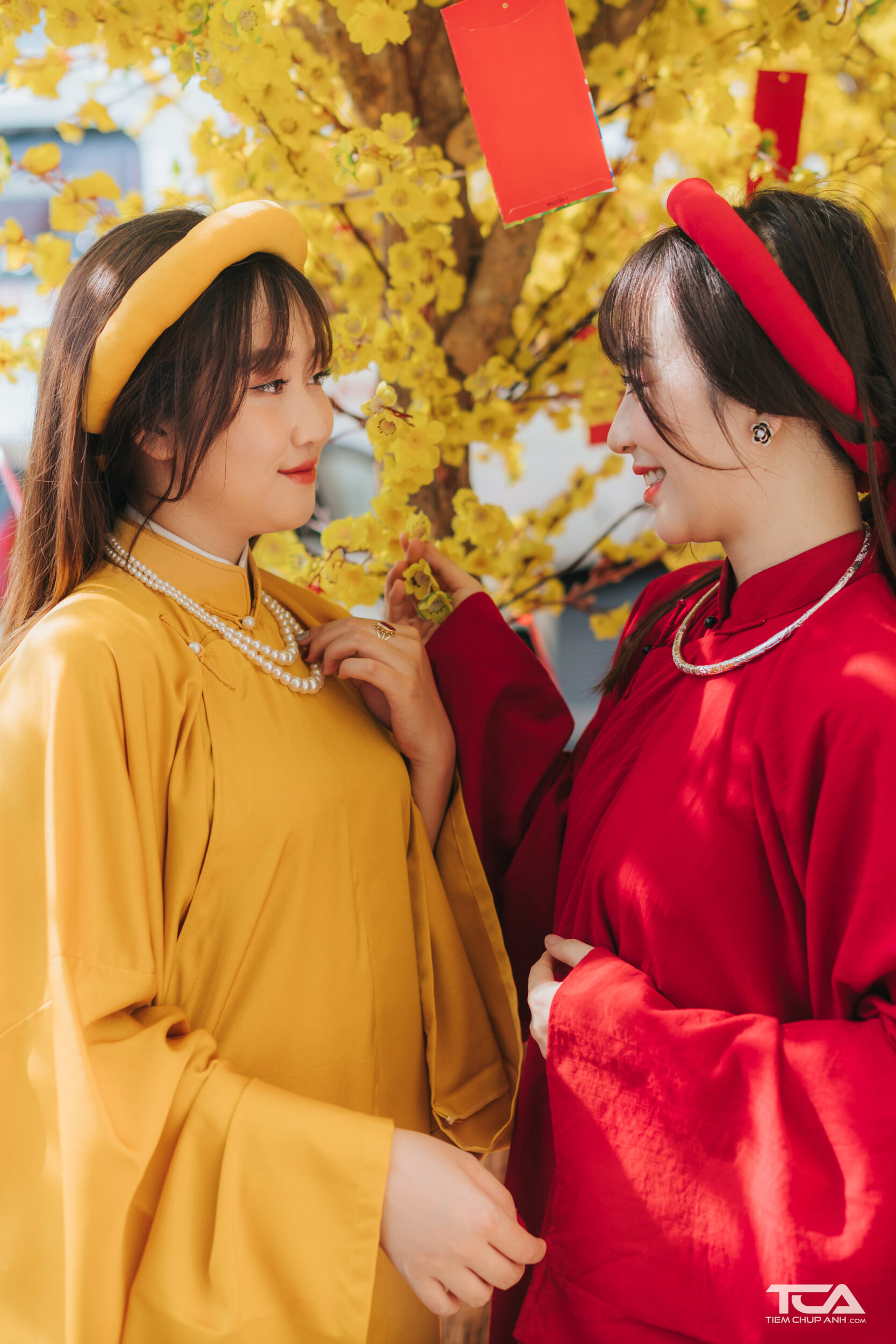 ảnh sinh đôi